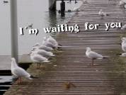 I´m waiting for you