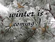 winter is coming :)