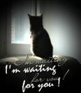 I´m waiting for you !