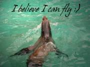 I believe I can fly :)